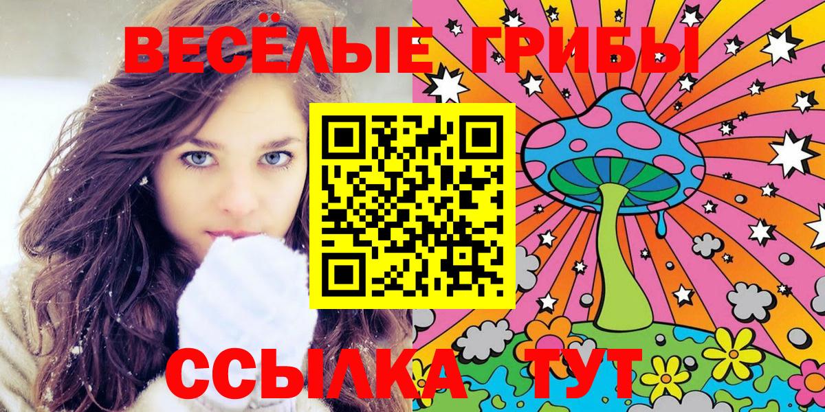 наркошоп  Галлюциногенные грибы Magic Shrooms  Вход с VPN  Галлюциногенные грибы Magic Shrooms  Норильск 